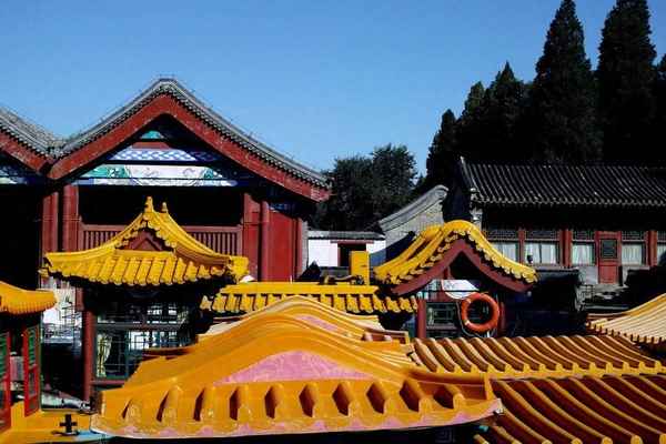 白头宫女话当年原文_白头宫女在 闲坐说玄宗全诗