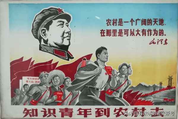接受貧下中農再教育、接受貧下中農再教育是什么意思