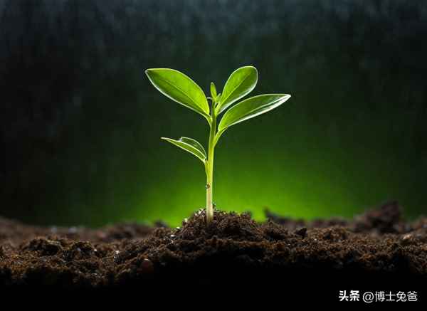 校园文化_校园文化设计方案