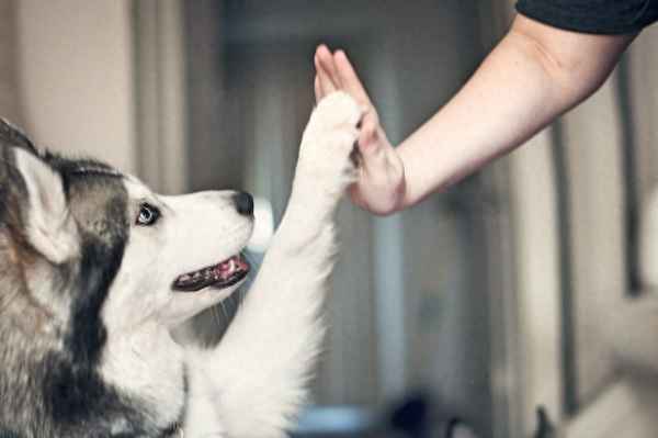 属于哪个部门管理,是属于哪个部门管