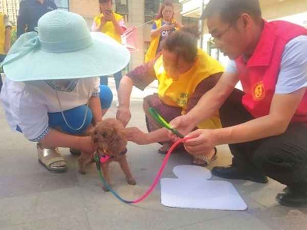 小區文明養寵物倡議書150字—關于小區文明養犬的倡議