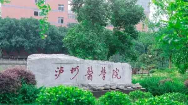 重慶科技學院繼續教育學院;重慶科技學院教務系統官網