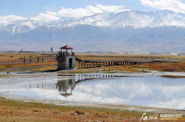 巴里坤旅游必去十大景點—巴里坤旅游必去十大景點圖片