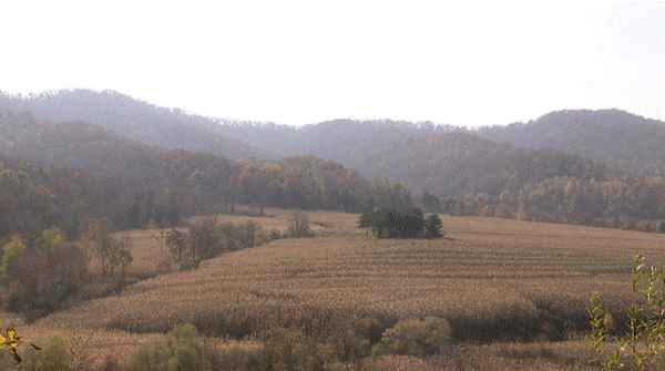 吉林柳河财经—吉林柳河财经学院官网