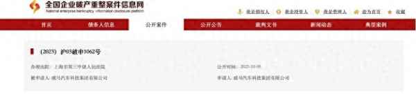 威马新能源汽车最新消息-威马新能源汽车最新消息破产重组