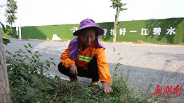 文明養寵勸導員300字、文明養犬過程及感受300字
