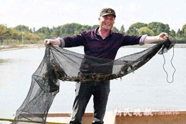 晚上抓螃蟹用什么灯光,下水抓螃蟹用什么灯光