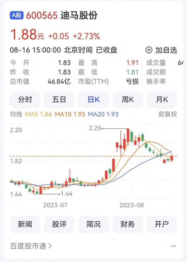 迪马股份怎么回事呀_迪马股份百科