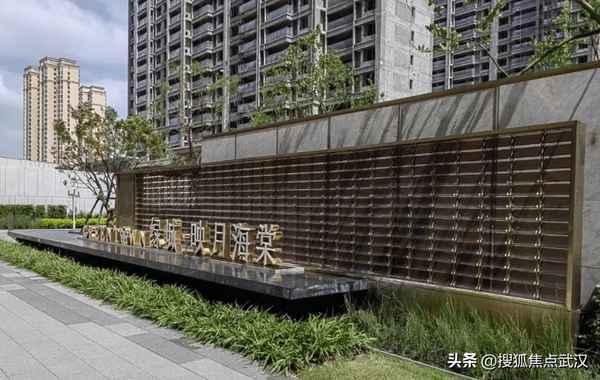 藍光焦點新聞、藍光發展新聞