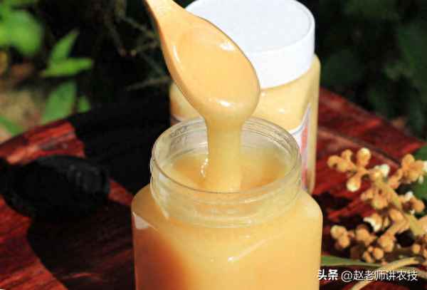 蜜蜂一个月可以采多少蜜,一个月蜜蜂可以繁殖多少只出来