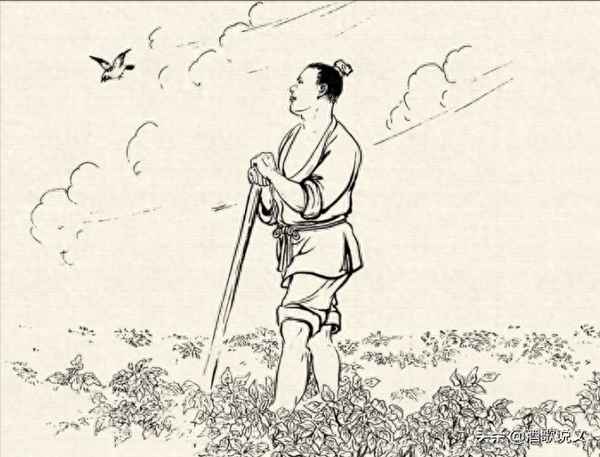 水稻的由来过程图、水稻的由来图片