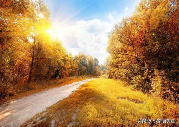 描寫自然景色的四字詞語(描寫自然景色的四字詞語什么林什么翠)
