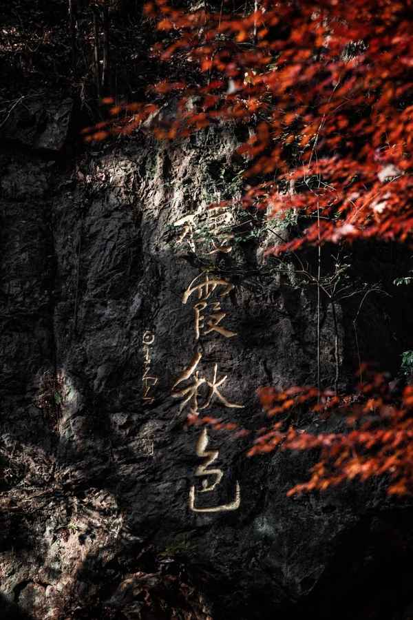 我自横刀向天笑全诗、我自横刀向天笑全诗百度知道