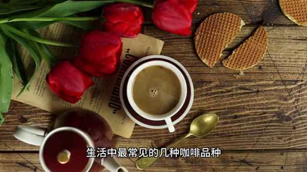 一張圖看懂咖啡區別—中國咖啡店10大品牌排行榜
