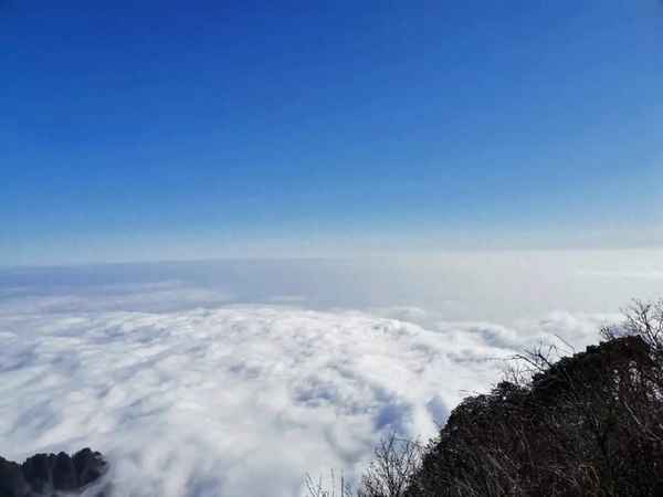 樂(lè)山和峨眉山先玩哪個(gè)_峨眉山門票多少錢一張