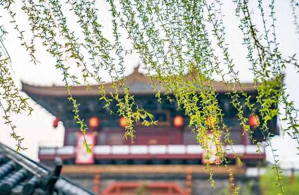 开封清明文化节_开封清明文化节的由来