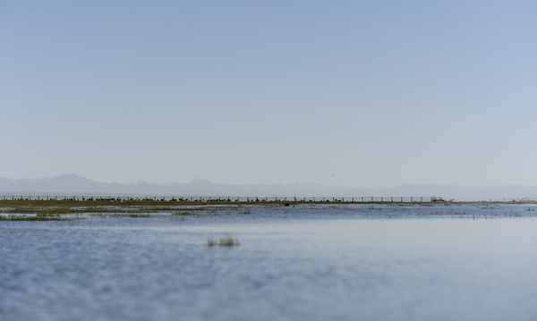 青海湖視頻素材高清_青海湖旅游視頻宣傳片高清