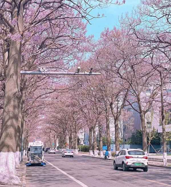 北京必去網紅景點_北京旅游網紅景點大全排名