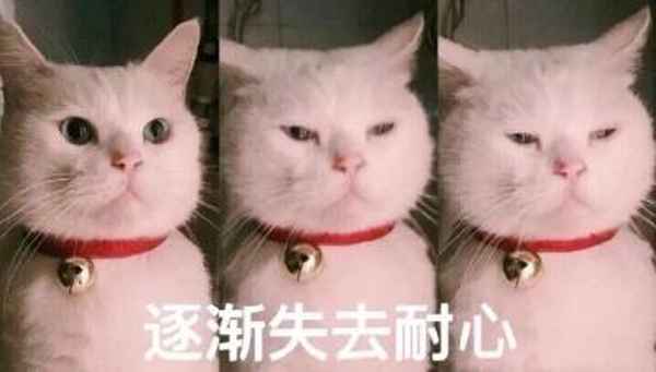 微信健康系統(微信健康系統未成年怎么修改)