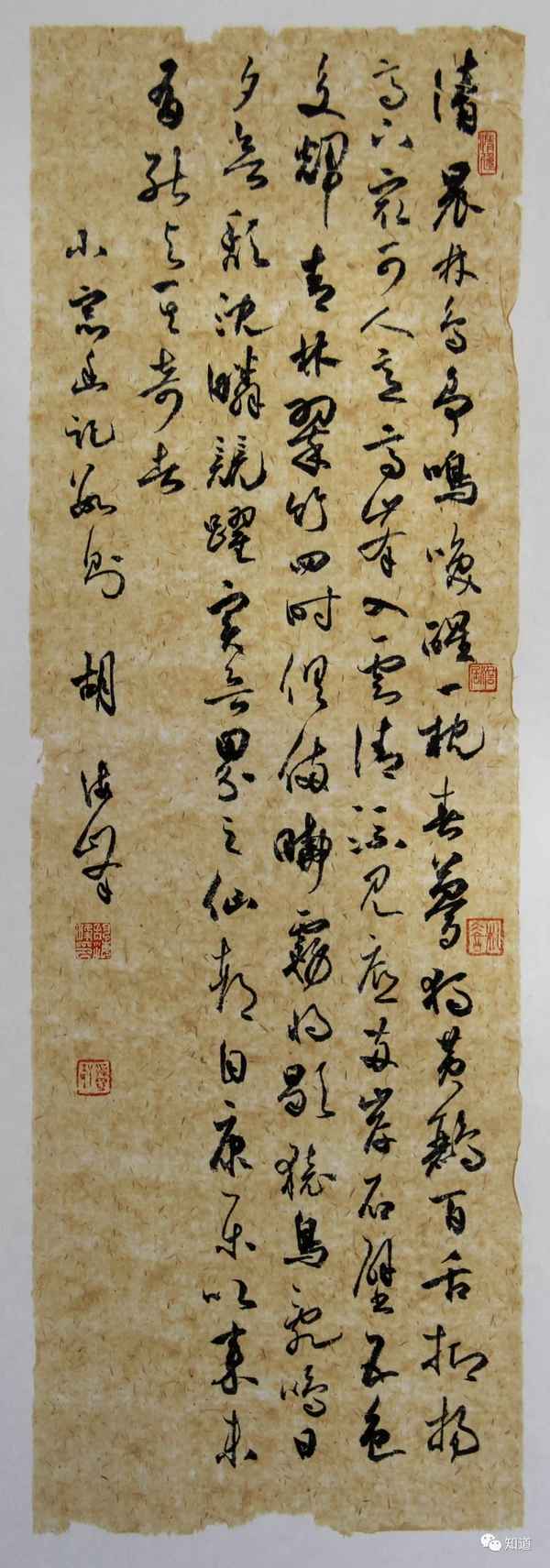 猿鸟乱鸣上一句是什么—猿鸟乱鸣前一句是什么