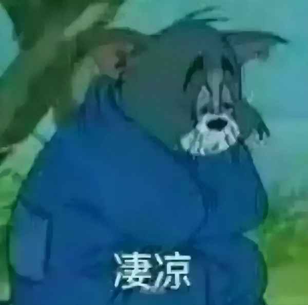 即將退市的車能買嗎(2020年退市的汽車)