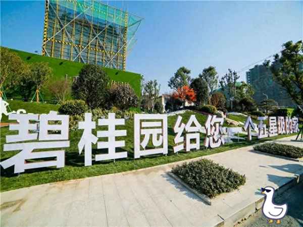 碧桂园股票被冻结、碧桂园股票被冻结多久解封