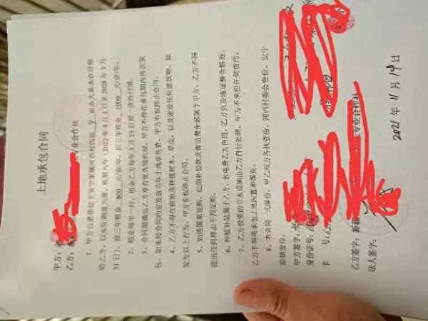 苗木基地合作協(xié)議范本、苗木基地合作協(xié)議范本最新