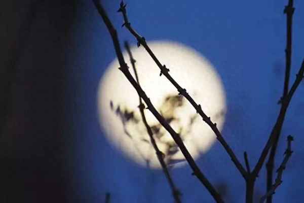 夢(mèng)游天姥吟留別四幅圖景分析、夢(mèng)游天姥吟留別描繪的三幅圖