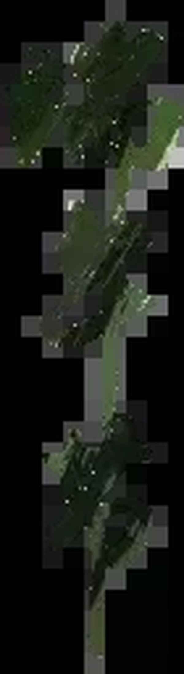 虽九死其犹未悔是的虽;虽九死其犹未悔的意思