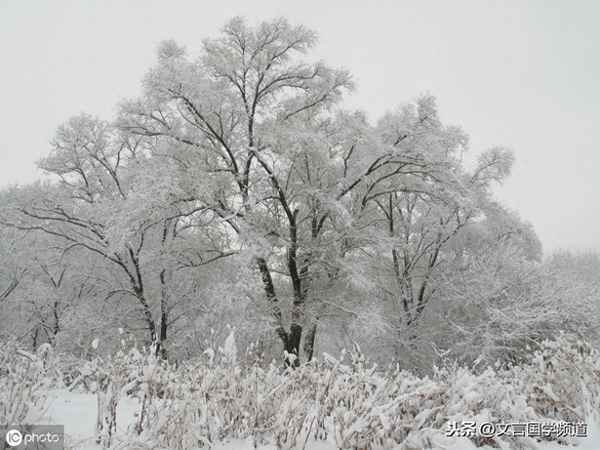 欲将轻骑逐大雪满弓刀是什么意思,欲将轻骑逐大雪满弓刀是什么意思欲的意思