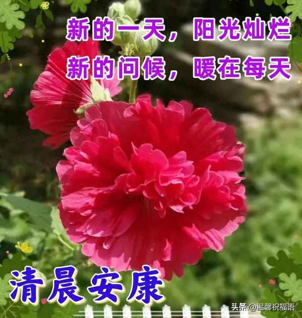 七個字祝福語大全—七字祝福語大全集