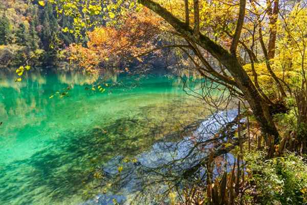 游九寨沟作文400字四年级优秀_游九寨沟作文400字四年级优秀作文大全