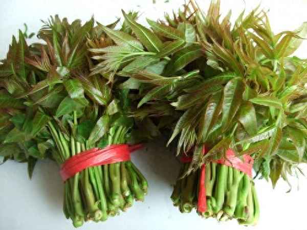 腌制香椿芽怎么做才好吃_腌香椿芽怎么腌