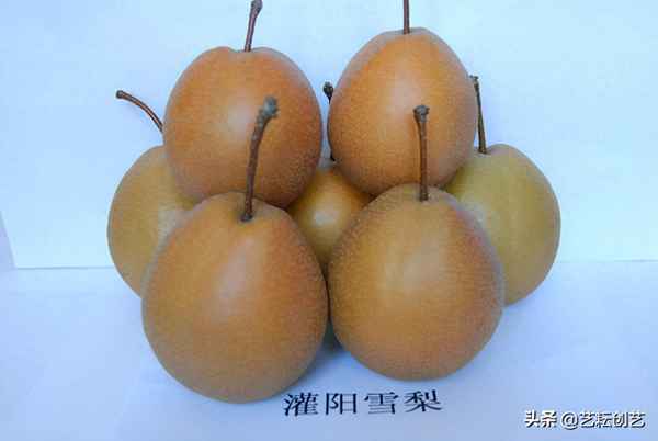 城步縣地圖鄉(xiāng)鎮(zhèn)分布圖_城步縣各鄉(xiāng)鎮(zhèn)地圖