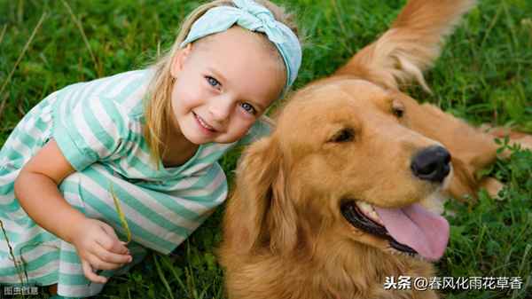 形容動物的優美句子_形容動物的優美句子簡短