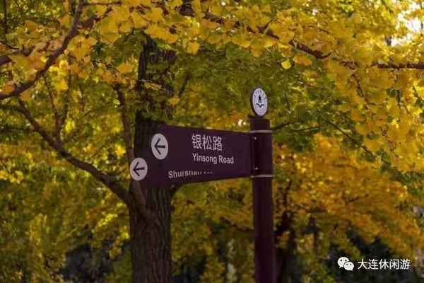 大连财经学院校园图片;大连财经学院全景图