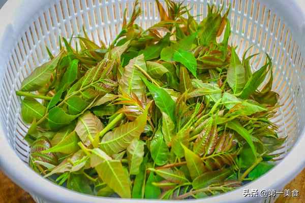 香椿芽的吃法大全-香椿芽的吃法大全香