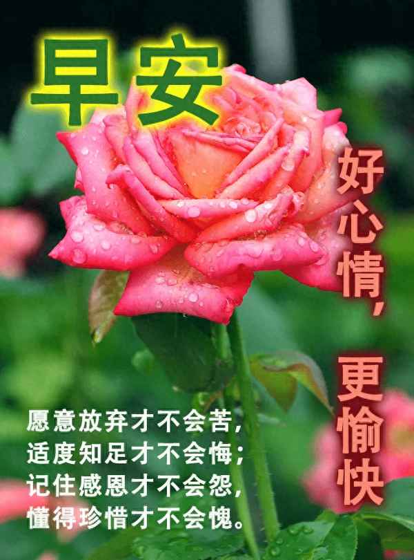 火花财经、金色财经花火
