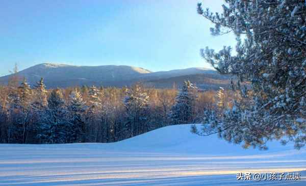 旅夜书怀十日春光;旅夜书怀 全诗