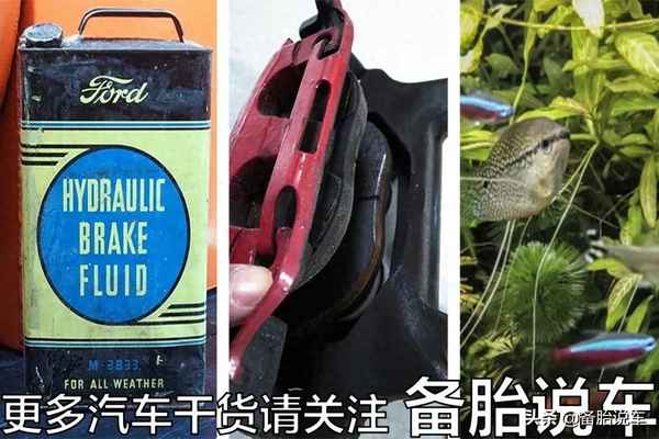 汽車殺車油多長(zhǎng)時(shí)間更換一次(殺車油能用機(jī)油嗎)