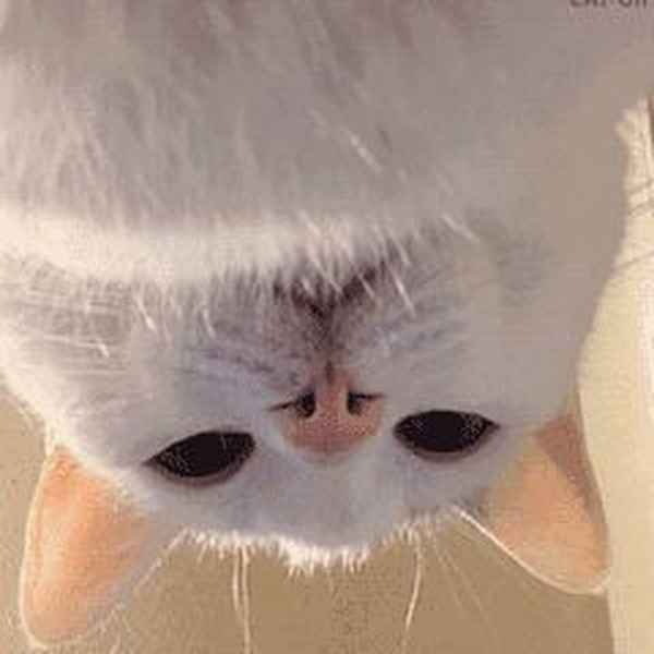 上海财经暑校-上海财经名校