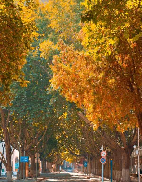 兰州的秋天是一个美丽的季节—兰州的春天是一个美丽的季节