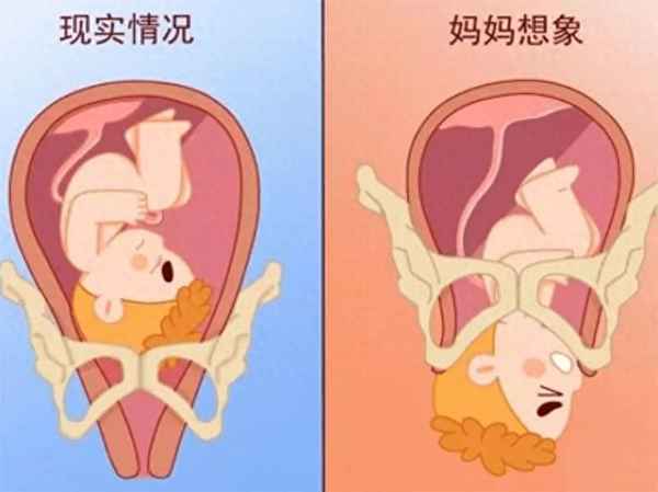 胎儿入盆后多久会生,胎儿入盆后多久会生产