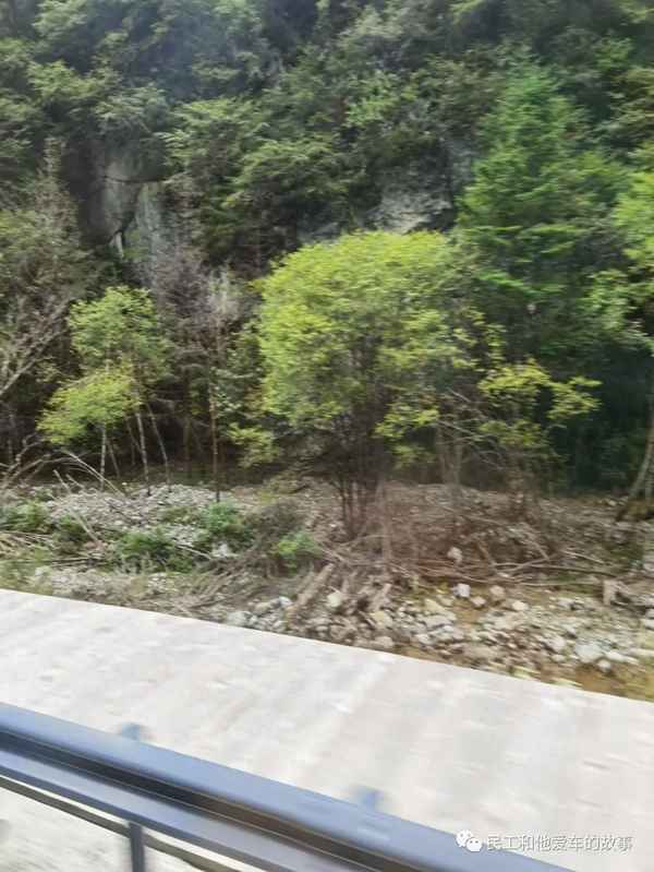 九寨溝箭竹海簡(jiǎn)介(九寨溝劍竹海)