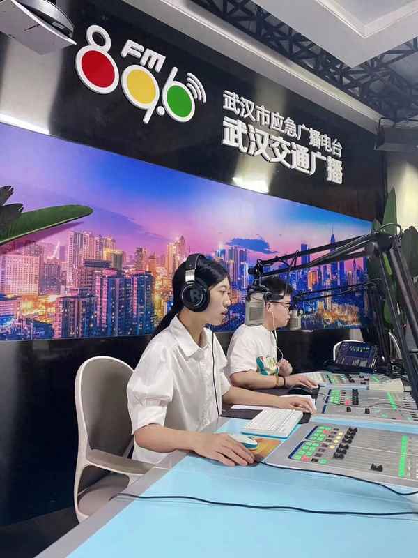 金融素養的影響因素—金融素養的有關論文