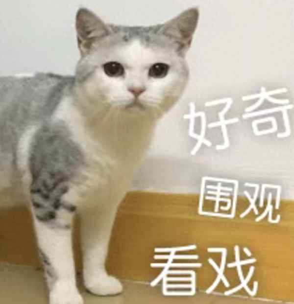 生而不養(yǎng)要贍養(yǎng)費(fèi)怎么辦,生而不養(yǎng)要履行有撫養(yǎng)義務(wù)嗎