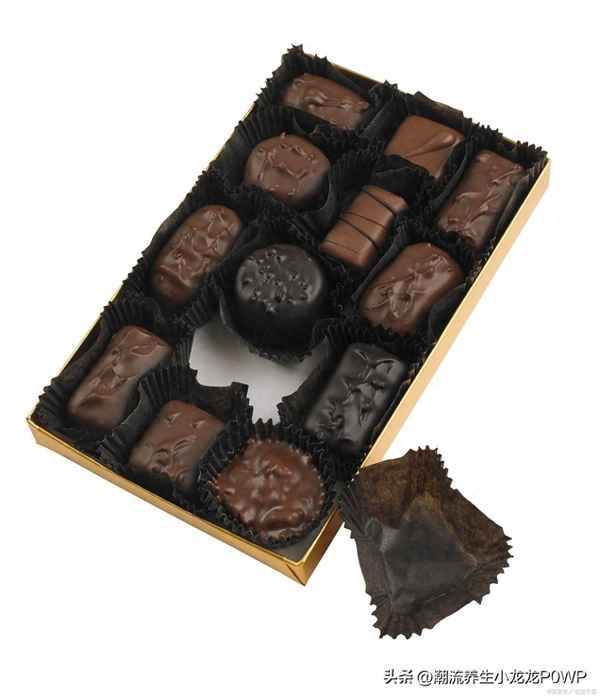 巧克力最好的牌子_巧克力哪個牌子最出名