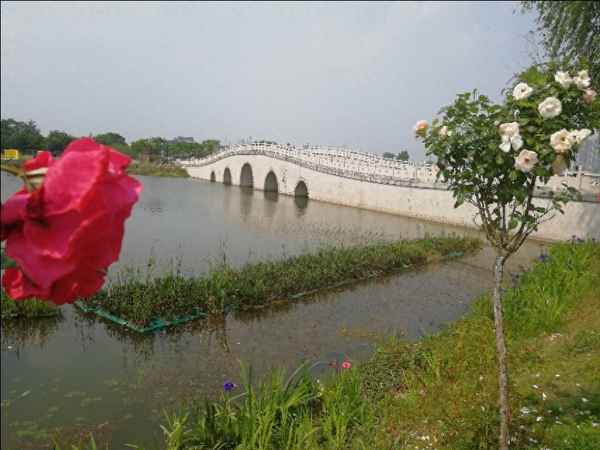 安鎮農博園水上樂園門票,農博園站附近水上樂園門票特價