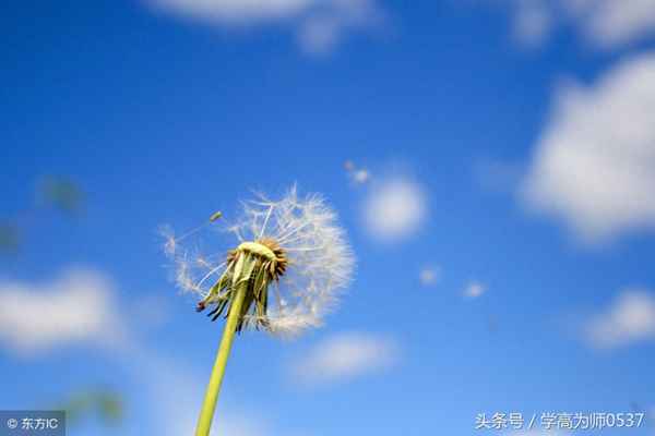 3.5打一成語是什么;3.5打一成語是什么成語 視頻