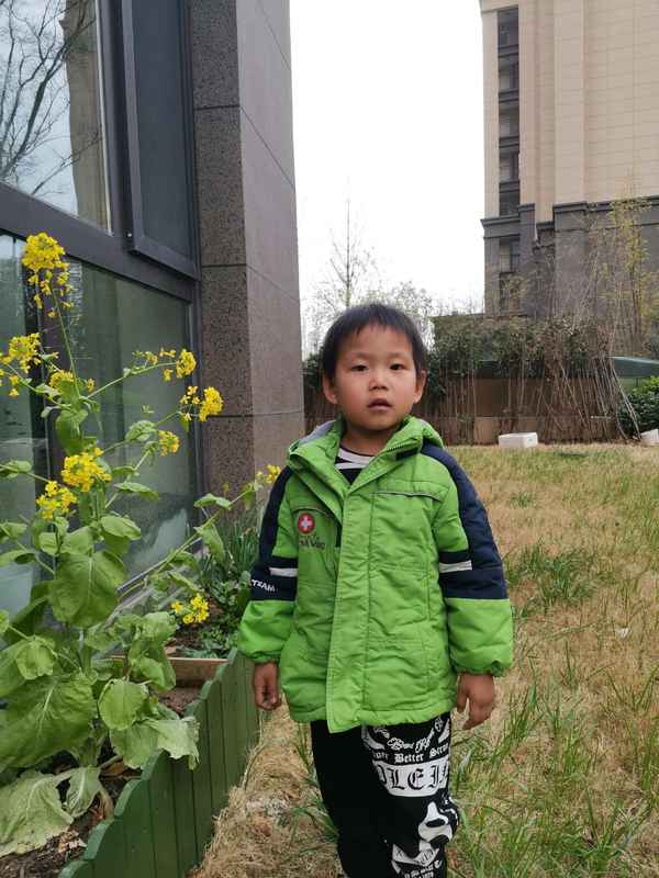 三打白骨精告訴我們的道理、三打白骨精告訴我們的道理50字